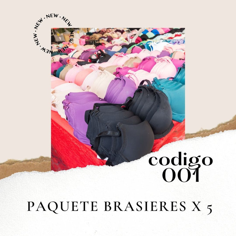PAQ001 BRASSIER X5