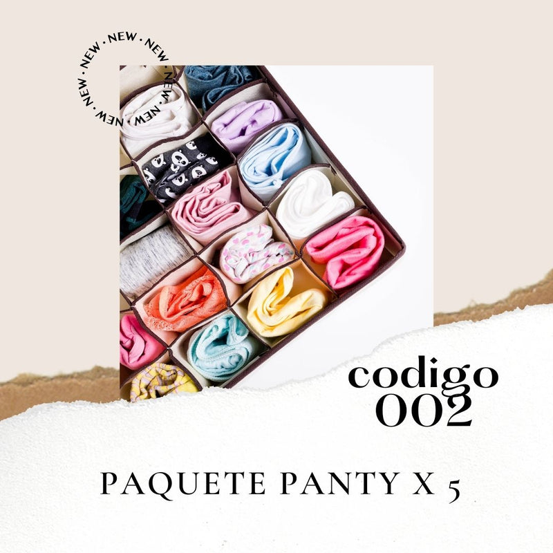 PAQ002 PANTIES X5